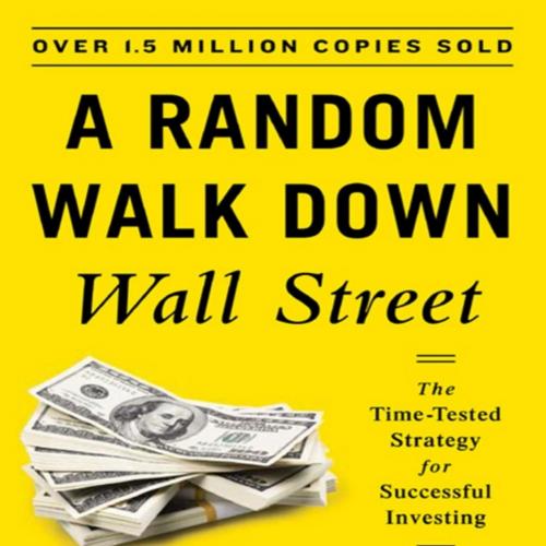 Random Walk Down Wall Street The Time-Tested Strategy for Successful Investing, A - Burton G. M...