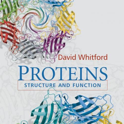 Proteins Structure and Function