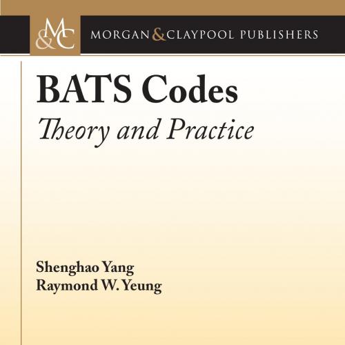 MCP BATS Codes Theory and Practice 1627055975