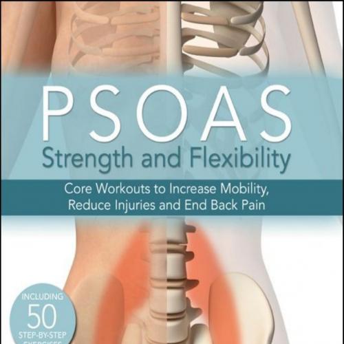 Psoas Strength and Flexibility Core Workouts to Increase Mobility, Reduce Injuries and End Back...
