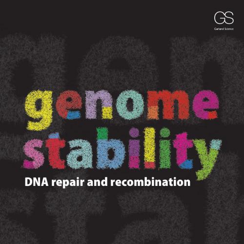 Genome Stability by James E. Haber