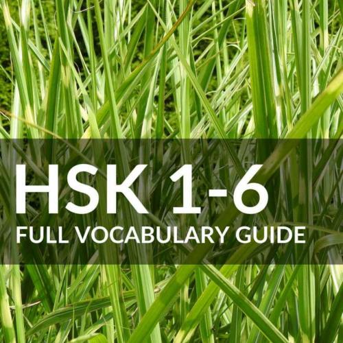 HSK 1-6 Full Vocabulary Guide_ All 5000 HSK Vocabularies with Pinyin and Translation - Pinhok L...