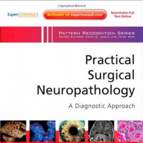 Practical Surgical Neuropathology-A Diagnostic Approach