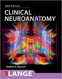 (PDF)Clinical Neuroanatomy, 28th Edition 28th Edition