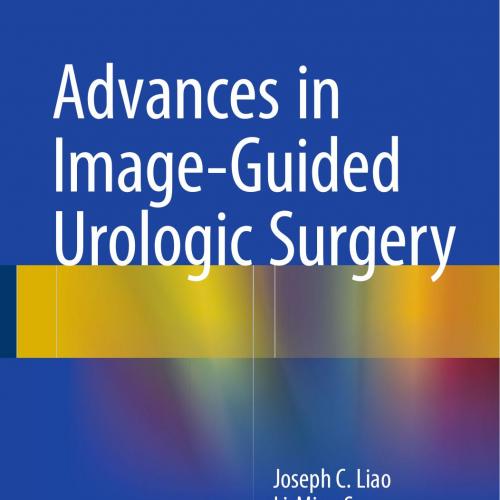 Advances in Image-Guided Urologic Surgery