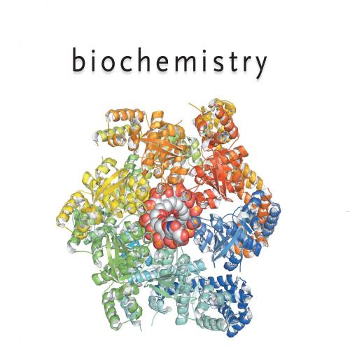 Biochemistry 6th Edition by Reginald H. Garrett - Reginald H. Garrett & Charles M. Grisham
