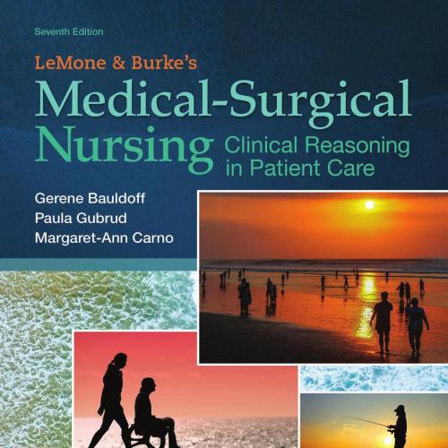 Medical Surgical Nursing 7th Edition By Gerene Bauldoff 120Yuan