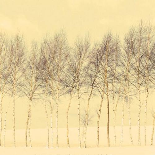 Probability and Statistics 4th International Edition - Wei Zhi