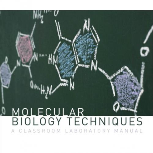 Molecular Biology Techniques A Classroom Laboratory Manual
