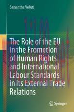 [PDF]The Role of the EU in the Promotion of Human Rights and International Labour Standards in ...