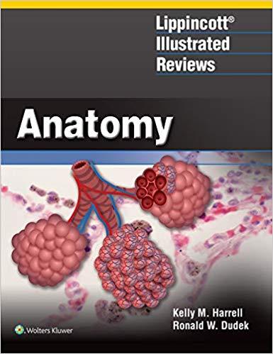 Lippincott Illustrated Reviews Anatomy 2019