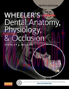[AME]Wheeler's Dental Anatomy, Physiology and Occlusion, 10th Edition (Original PDF)