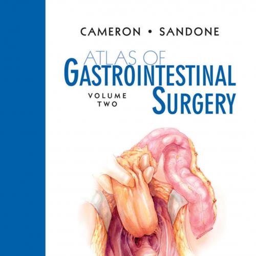 Atlas of Gastrointestinal Surgery, Vol 2, 2nd Edition - John L. Cameron,Corrine Sandone