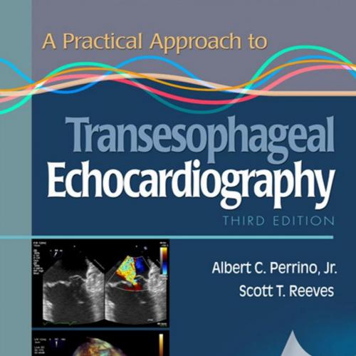 Practical Approach to Transesophageal Echocardiography, 3rd Edition, A