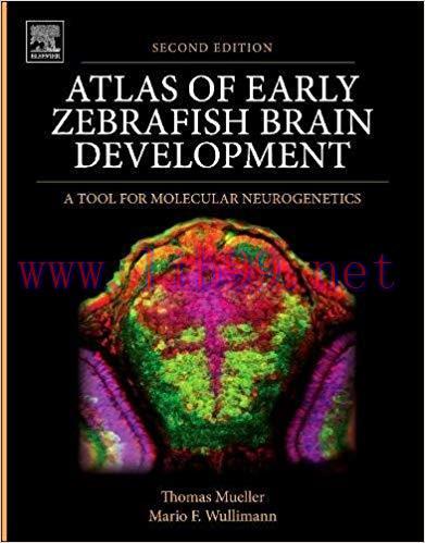 [PDF]Atlas of Early Zebrafish Brain Development 2E