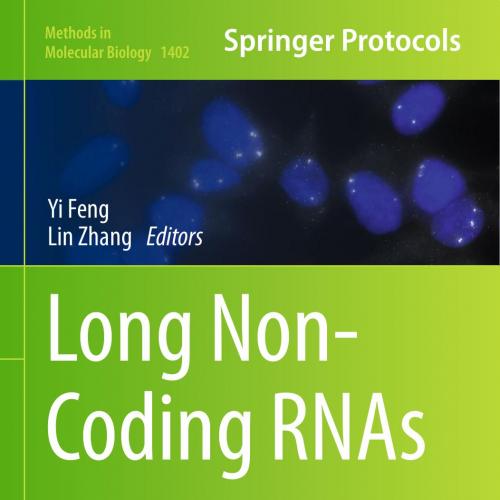 Long Non-Coding RNAs Methods and Protocols - Wei Zhi