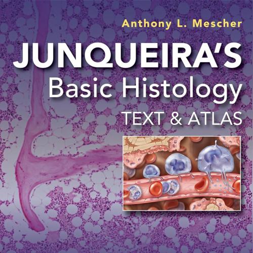 Junqueira&rsquo;s Basic Histology Text and Atlas, Seventeenth Edition 17th Edition