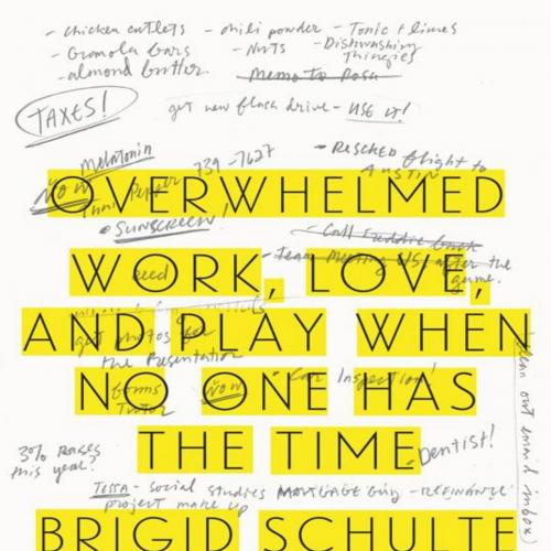Overwhelmed_ Work, Love, and Play When No One Has the Time