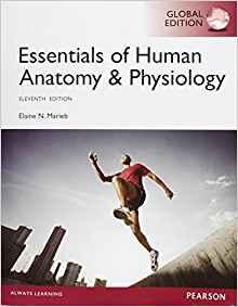 (Test Bank)Essentials of Human Anatomy & Physiology 11th Global Edition.pdf