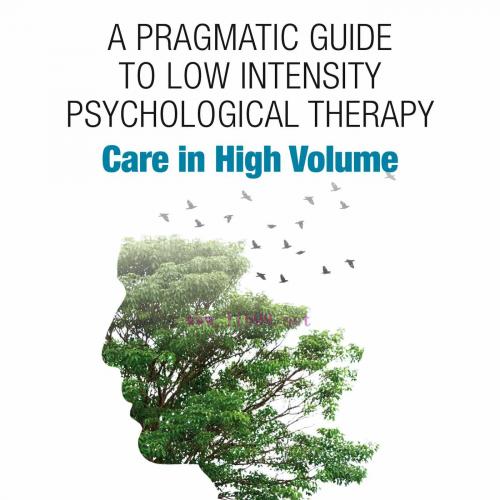 [AME]A Pragmatic Guide to Low Intensity Psychological Therapy: Care in High Volume (Original PD...