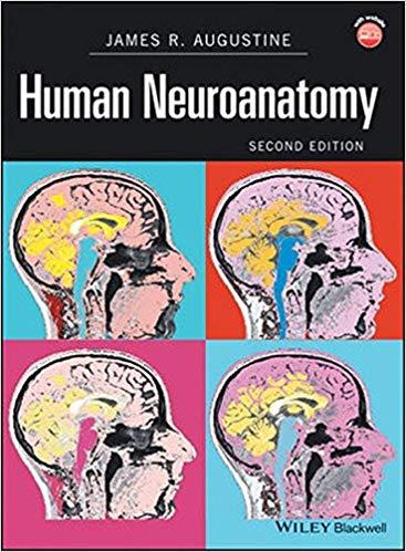 Human Neuroanatomy, 2nd Edition [James R. Augustine]