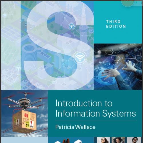 (Solution Manual)Introduction to Information Systems People, Technology and Processes 3e.zip