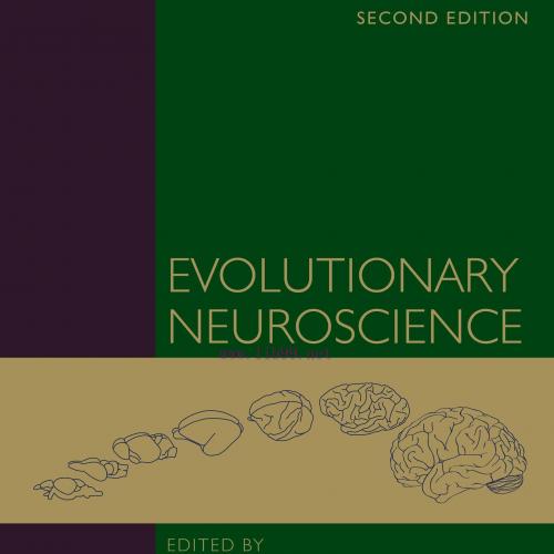 [AME]Evolutionary Neuroscience, 2nd Edition (Original PDF)