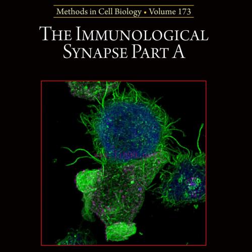 [AME]The Immunological Synapse - Part B, Volume 178 (Original PDF)