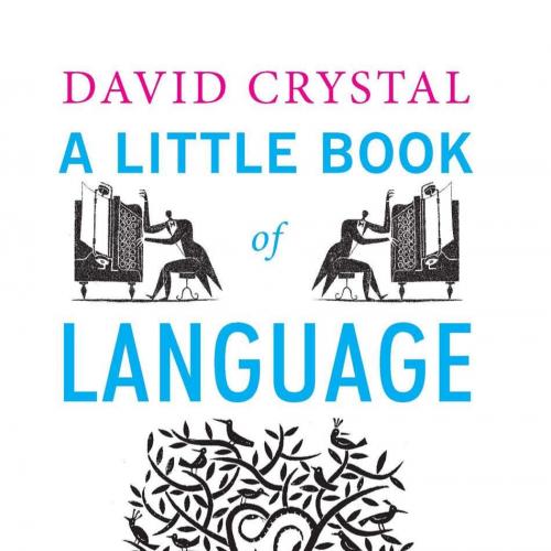 Little Book of Language (Little Histories), A - David Crystal