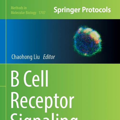 B Cell Receptor Signaling