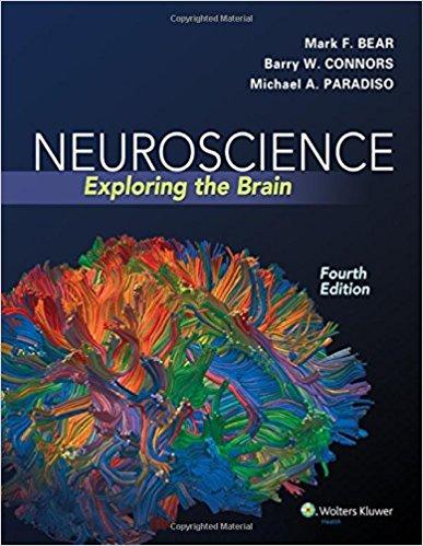 Neuroscience Exploring the Brain 4th Edition