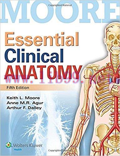[PDF]Essential Clinical Anatomy 5th ed