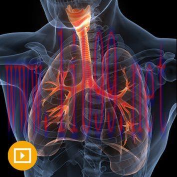 [AME]The Brigham Board Review and Comprehensive Update_ in Pulmonary Medicine 2022 (CME VIDEOS)