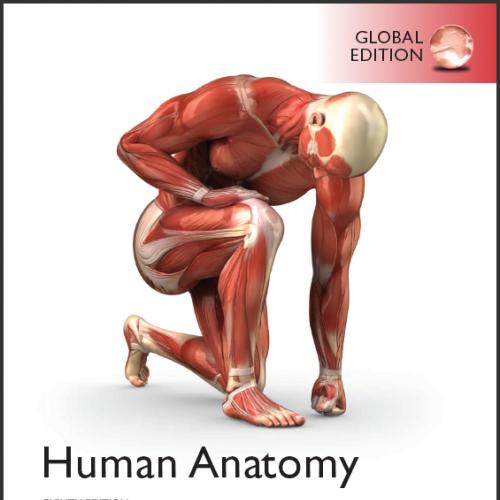 (Test Bank)Human Anatomy 8th Global Edition by Elaine N. Marieb.zip