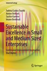[PDF]Sustainable Excellence in Small and Medium Sized Enterprises: Continuous Improvement Appro...