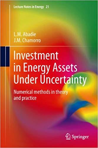 (PDF)Investment in Energy Assets Under Uncertainty Numerical methods in theory and practice (Le...