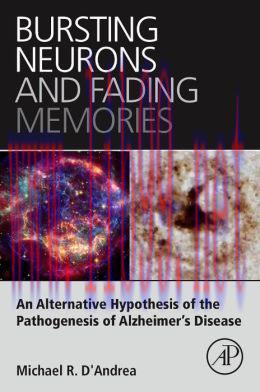 [AME]Bursting Neurons and Fading Memories (ORIGINAL PDF from_ Publisher)