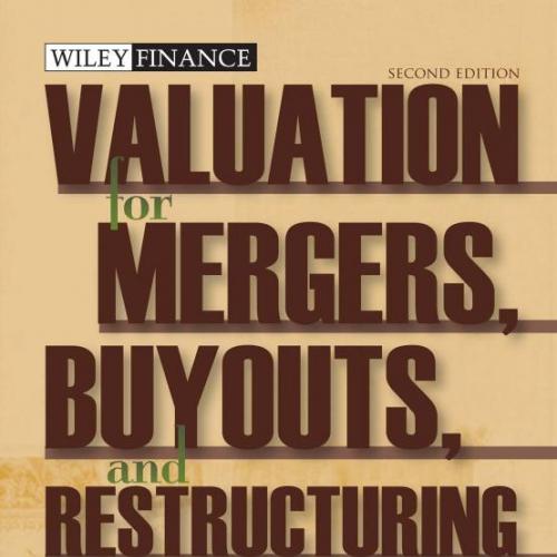 Valuation for Mergers Buyouts and Restructuring 2nd