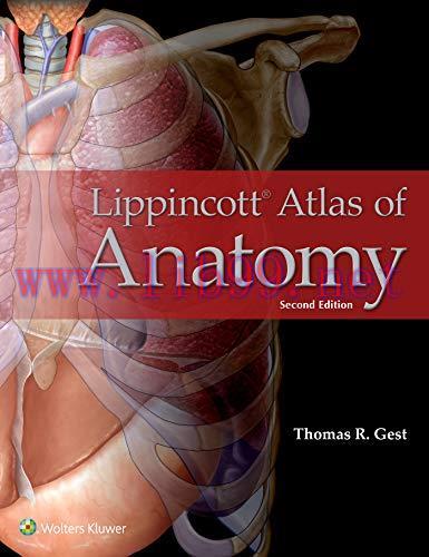 [AME]Lippincott Atlas of Anatomy, 2nd Edition (High Quality PDF)