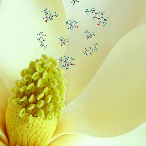 Organic Chemistry, 10th Editiion by T. W. Graham Solomons