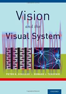 [AME]Vision and the Visual System