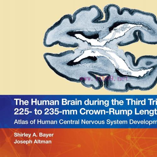 [AME]Sustainable Nanomaterials for Biomedical Engineering: Impacts, Challenges, and Future Pros...