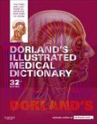 [AME]International Perspectives on Intimate Partner Violence : Challenges and Opportunities (Or...