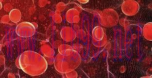 [AME]2023 Highlights of ASH in North America (Videos)