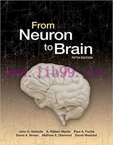From- Neuron to Brain