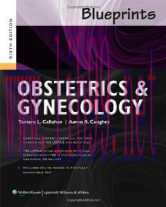 [AME]Blueprints Obstetrics and Gynecology (Blueprints Series) 6th