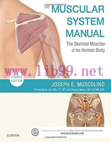 [AME]The Muscular System Manual: The Skeletal Muscles of the Human Body, 4th Edition (PDF)