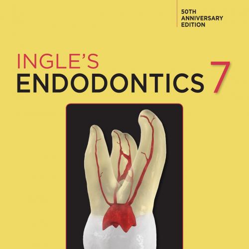 Ingle&rsquo;s Endodontics 7th Edition by Ilan Rotstein