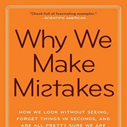 Why We Make Mistakes How We Look Without Seeing, Forget Things - Joseph T. Hallinan