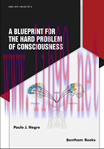 [AME]A Blueprint for the Hard Problem of Consciousness (Original PDF)